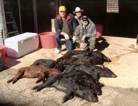 Don Netek, Tommy Weatherly, Capt. Wayne Vinton and harvested wild Hogs